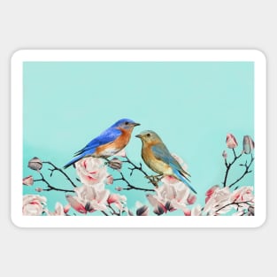 Eastern Bluebird Couple Sticker